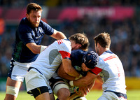 Scotland vs USA - Rugby World Cup (England 2015)