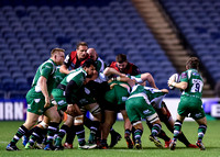 Edinburgh Rugby vs London Irish - EPCR Challenge Cup